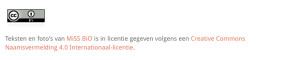Creative Commons